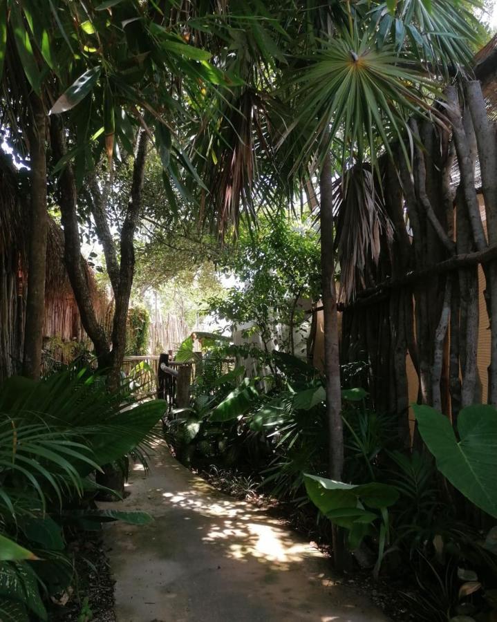 Cozy Near The Beach, Party Zone Campismo de Luxo Tulum